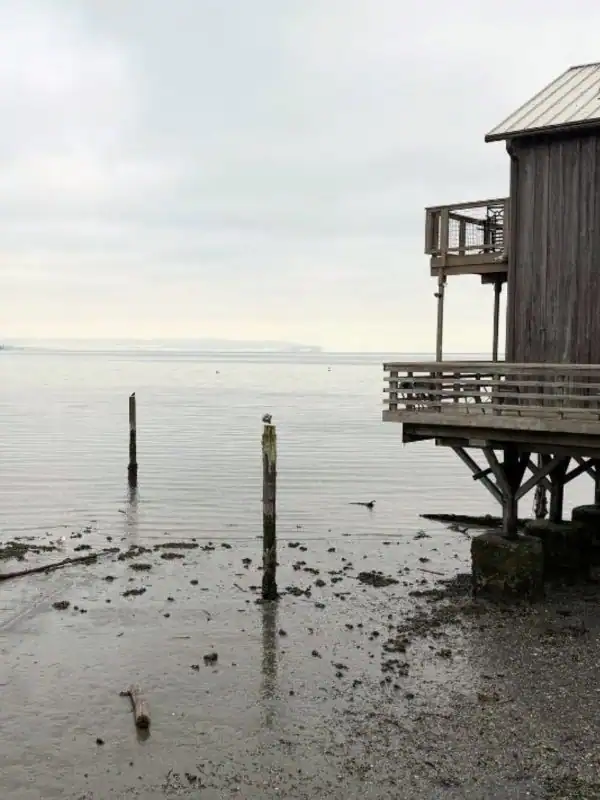 Penn Cove in Whidbey Island