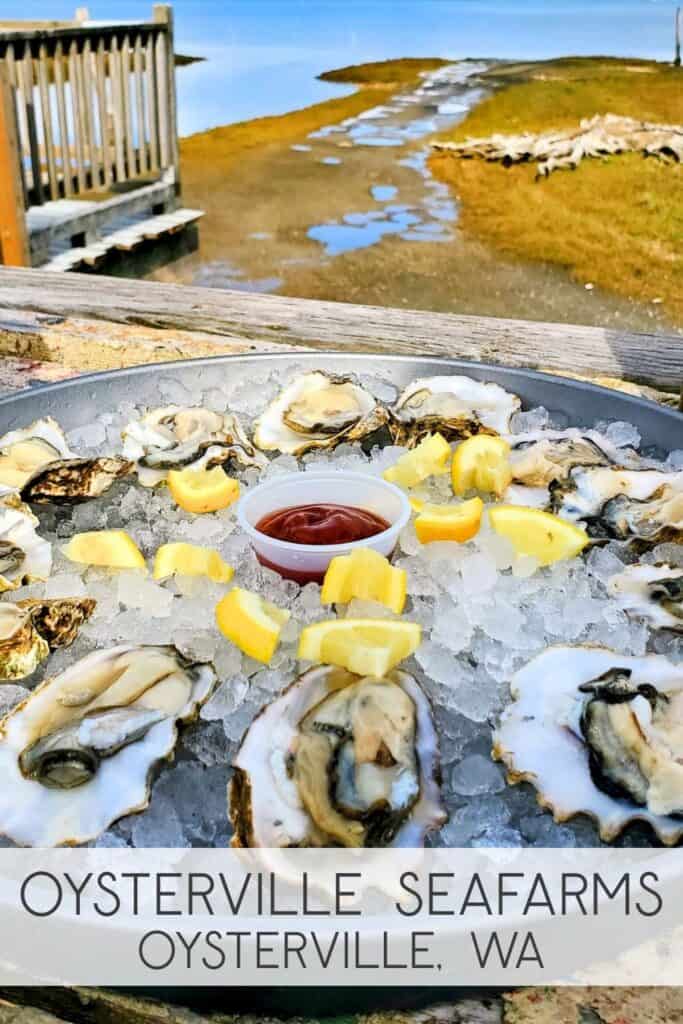 Fresh oysters on ice with lemon wedges at Oysterville Sea Farms in Oysterville, Washington, overlooking the tide flats.