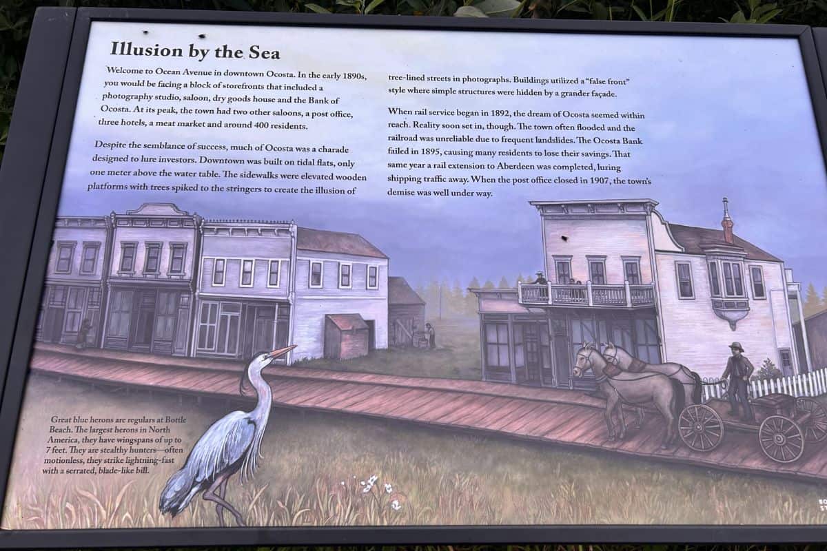 An interpretive historical sign at Bottle Beach State Park showing a drawing of Ocosta-by-the-Sea on stilts next to a Great Blue Heron.