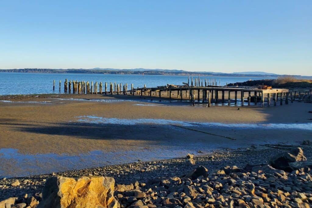 old Tokeland pier pilings standing in the sand at low tide along the Washington coast