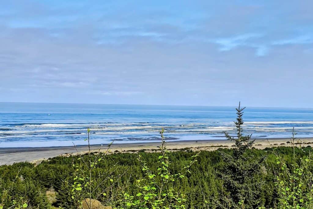 Cape Disappointment State Park | PNW Travel Girl A view of blue skies over the Pacific Ocean at Cape Disappointment State Park in Washington State.