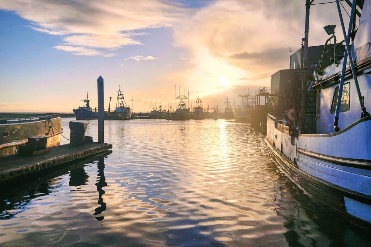 Fishing boats at sunrise in Westport Washington marina, showing the working harbor on the Washington coast