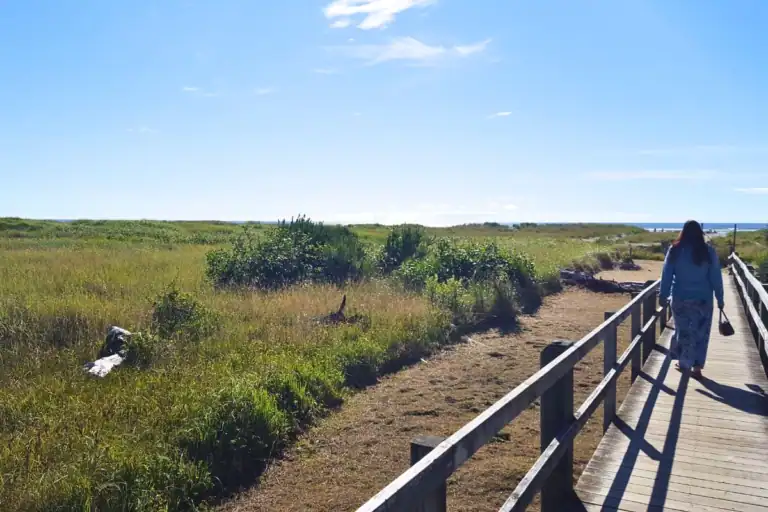 Wooden boardwalk leading through coastal dunes toward the ocean near Quinault Beach Resort in Ocean Shores, Washington