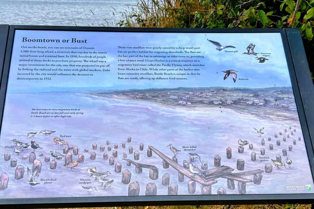 Historical Marker: The 3,000-Foot Wharf of Ocosta A historical interpretive sign at Bottle Beach State Park titled "Boomtown or Bust." The sign features an illustration of the 3,000-foot wharf and wooden pilings of Ocosta-by-the-Sea in Grays Harbor.