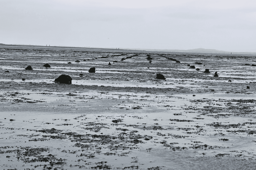 Old pilings from Ocosta’s vanished wharf at low tide Remains of old wharf pilings stretching across the mudflats at Ocosta by the Sea in Grays Harbor