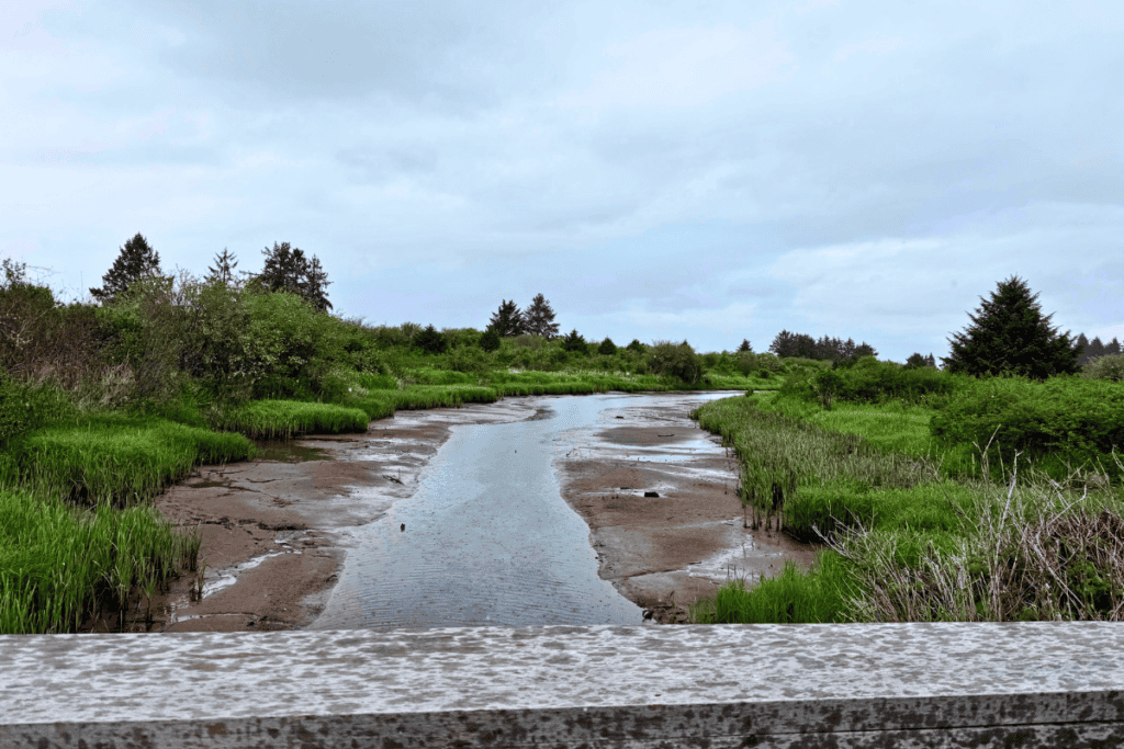 Pacific Northwest wetlands of Ocosta-by-the-Sea Peaceful marsh waterway and wetlands at Bottle Beach State Park in coastal Washington.