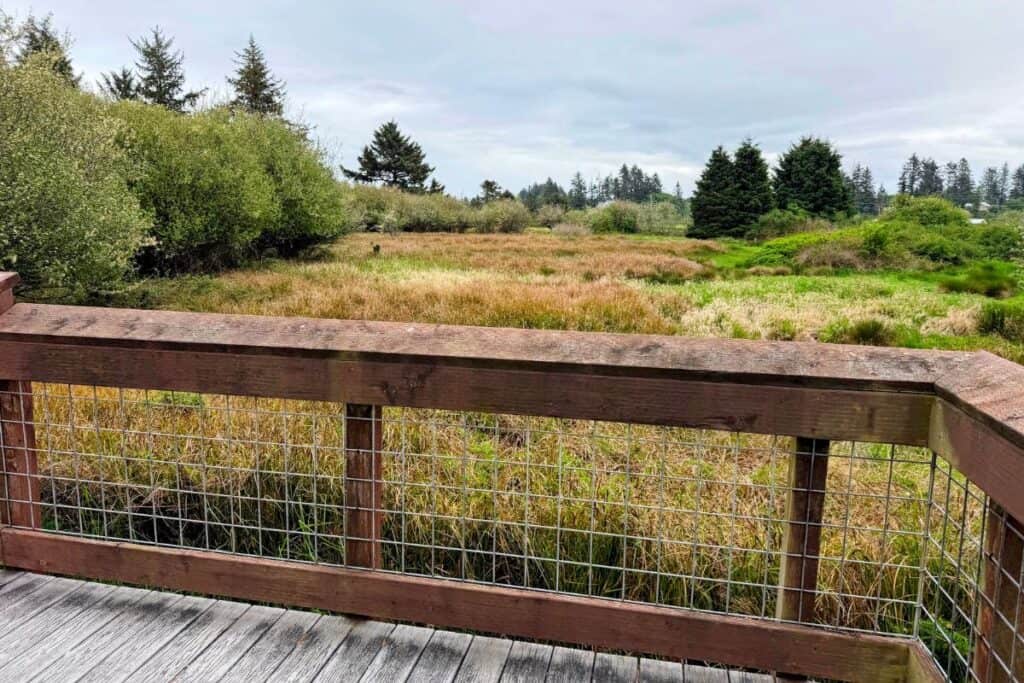Pacific Northwest wetlands near Ocosta-by-the-Sea Peaceful marsh waterway and wetlands near Ocosta-by-the-Sea in coastal Washington.