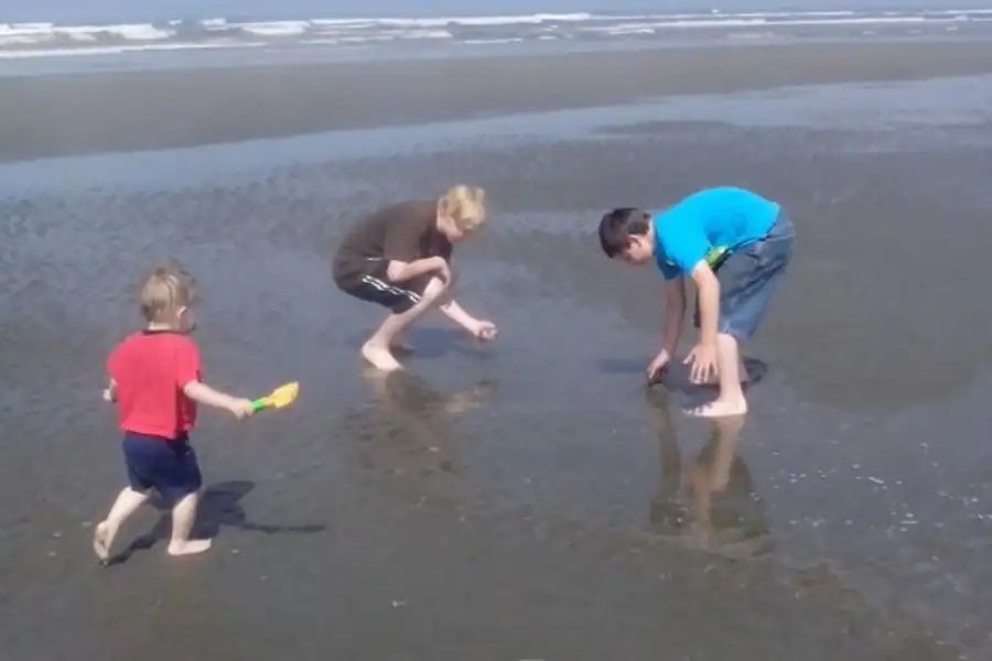 Children playing in shallow water on the wide sandy beach at Ocean Shores, Washington