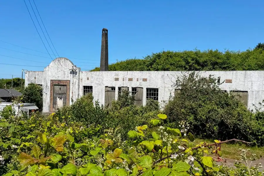 Old Moclips School central boiler house and heating plant with boarded windows, a tall chimney, and overgrown coastal brush.