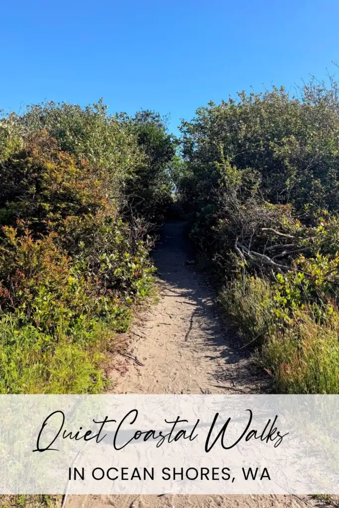 Sandy trail through coastal vegetation leading to the beach at Oyhut Wildlife Area in Ocean Shores, Washington