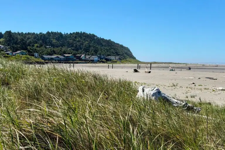 Wide sandy beach and coastal bluff in Pacific Beach, Washington