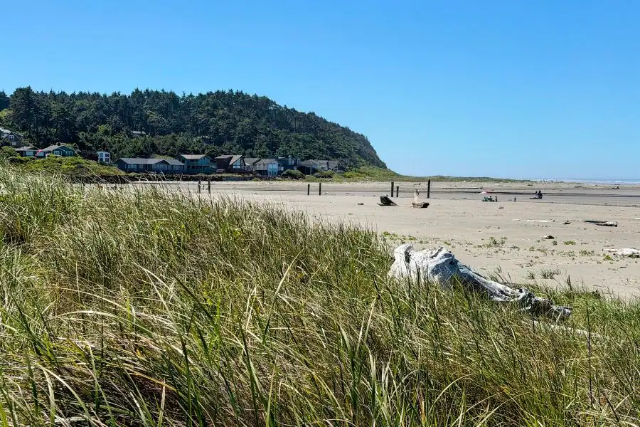 Pacific Beach Washington: A Quiet North Beach Escape