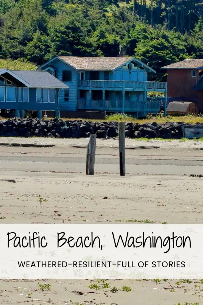 Weathered beachfront homes along the sand in Pacific Beach, Washington