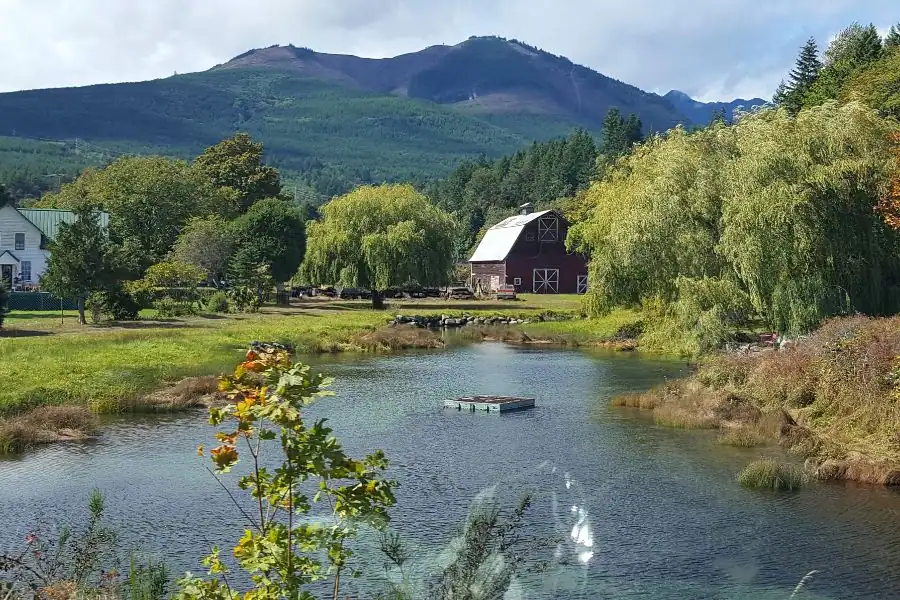 Peaceful Pacific Northwest pond with a red barn, willow trees, green fields, and forested mountains in the background.