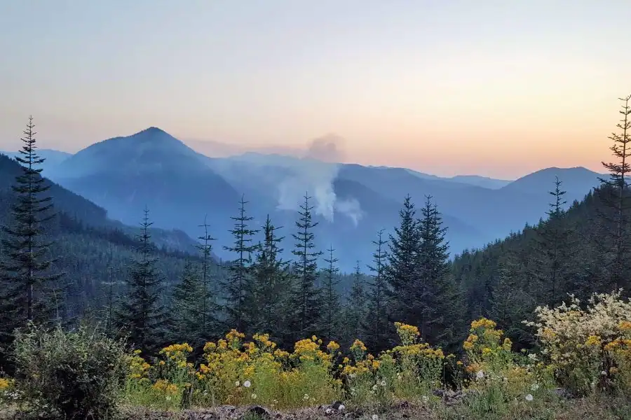 Small wildfire smoke plume rising over forested Pacific Northwest mountains at sunset.