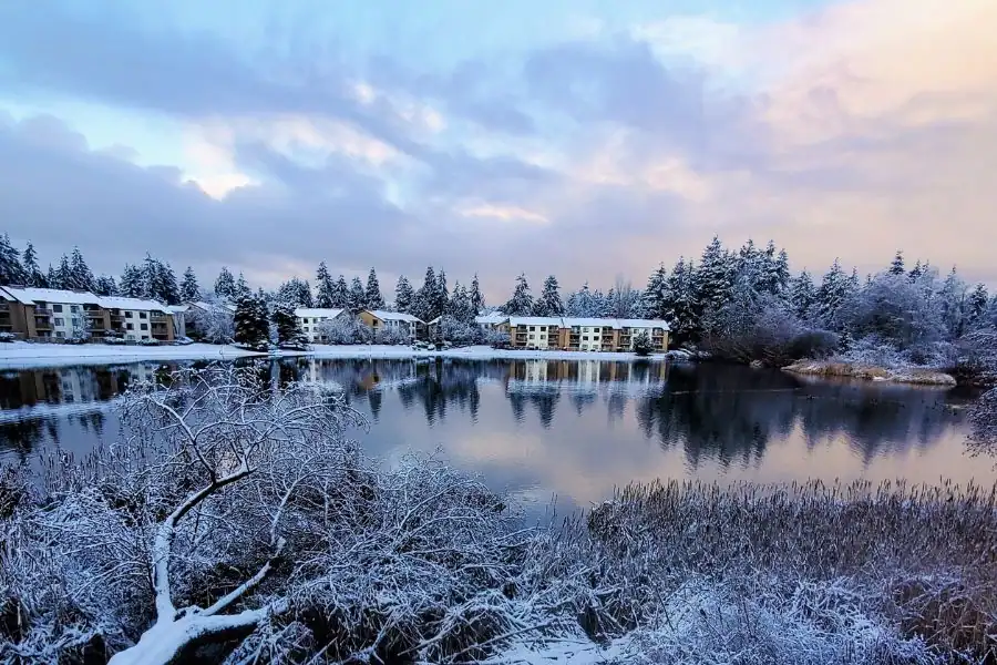 Snow-covered Pacific Northwest lake with apartment buildings, evergreen trees, and soft winter reflections on the water.