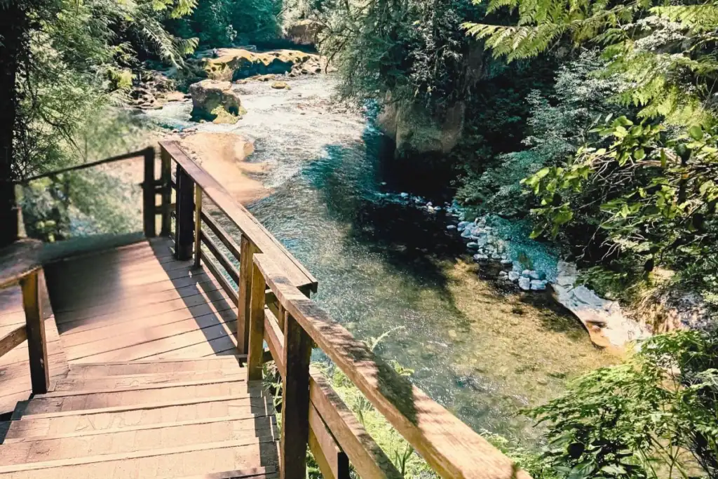 Wooden stairs descending toward the Green River with forest and sandstone along the gorge