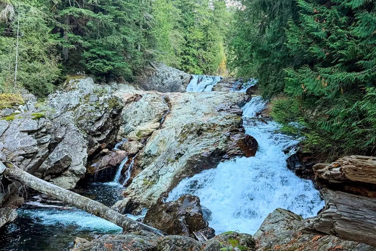 An Anxiety-Free Guide to Olallie State Park: Parking, Trail Layouts, and Quiet Forest Walks