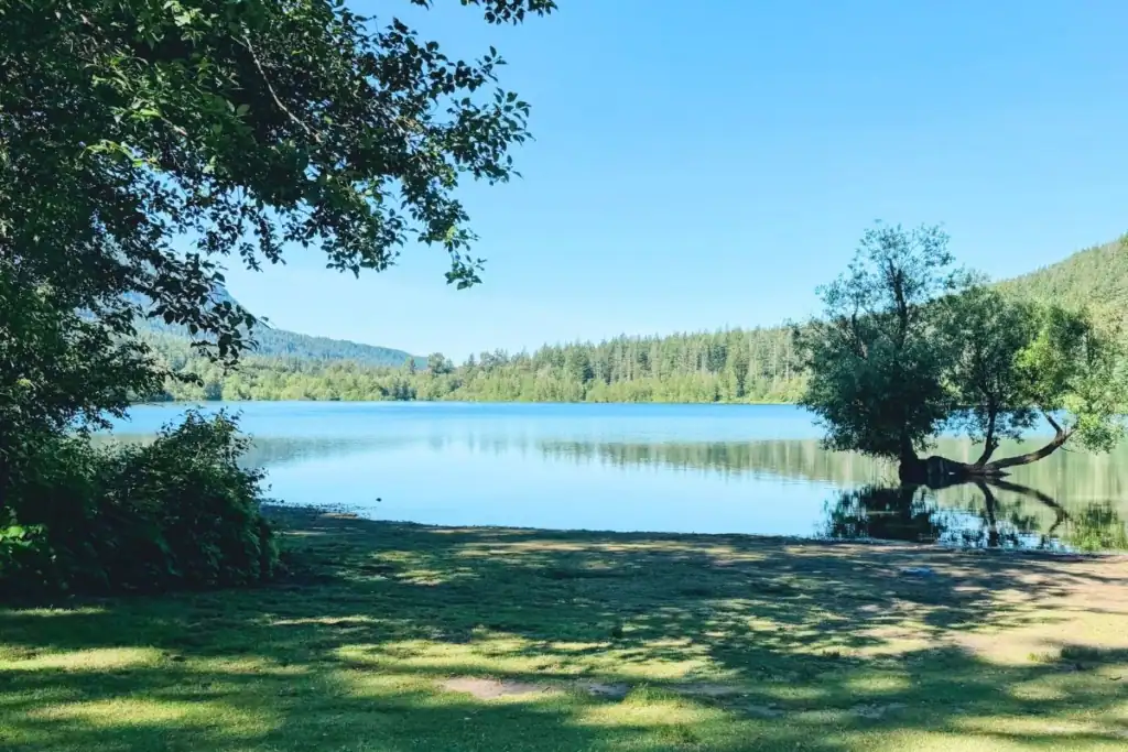 Peaceful view of Rattlesnake Lake near North Bend, Washington, with calm blue water, a grassy shoreline, and trees framing the lake.