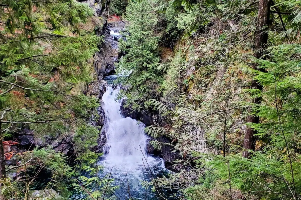 Twin Falls cascading down a narrow rocky gorge surrounded by dense evergreen forest at Olallie State Park near North Bend, Washington.
